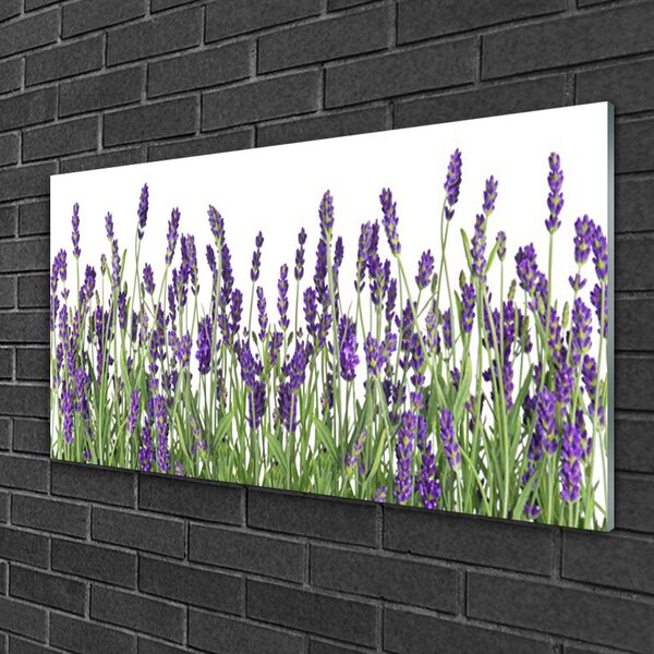 Quadro vetro Fiori Pianta naturale 100x50 cm 2 appendini