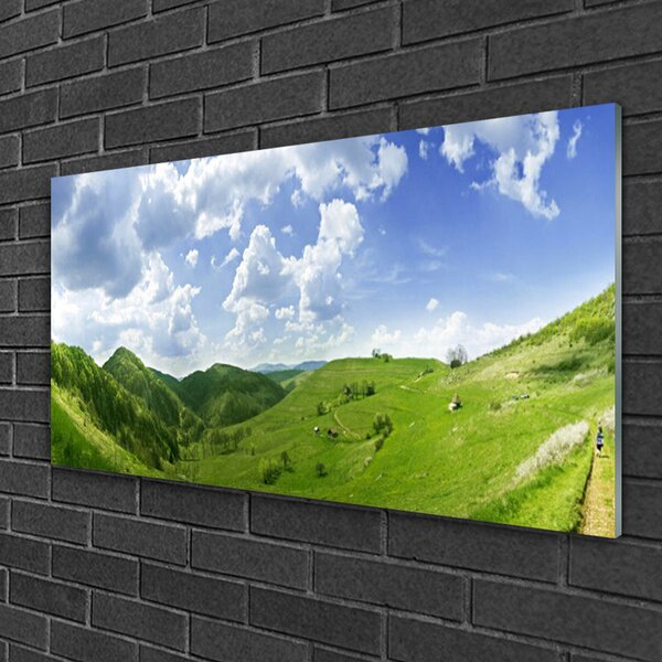 Quadro su vetro Campo naturale di Mountain Meadow 100x50 cm 2 appendini