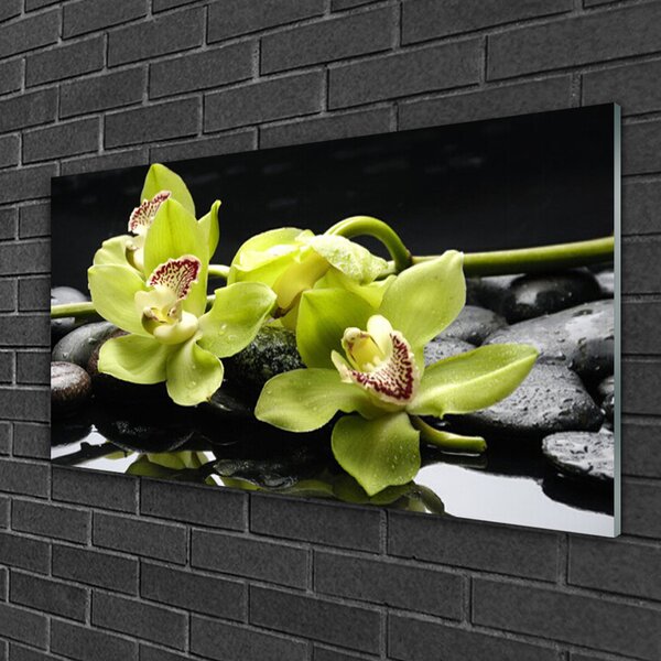 Quadro in vetro Pianta di orchidea da fiore 100x50 cm 2 appendini