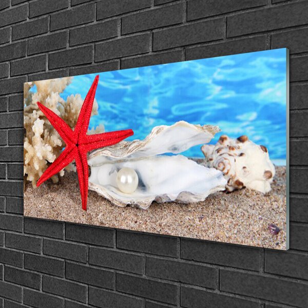 Quadro in vetro Conchiglie stelle marine Natura 100x50 cm 2 appendini