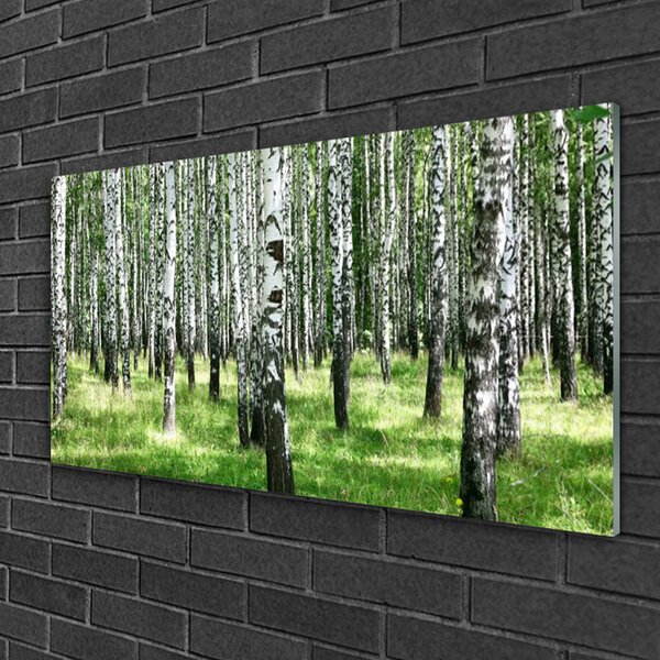 Quadro vetro Foresta Erba Pianta Natura 100x50 cm 2 appendini