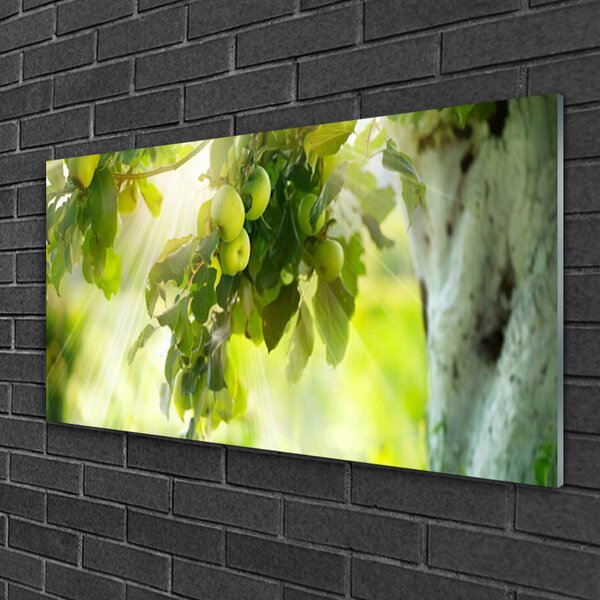 Quadro in vetro Ramo di melo Natura 100x50 cm 2 appendini