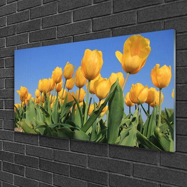Quadro di vetro Tulipani Fiori Pianta 100x50 cm 2 appendini