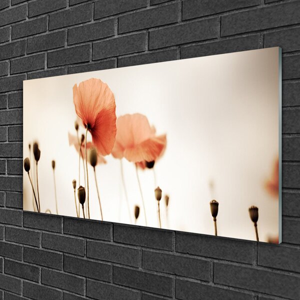 Quadro vetro Papaveri Pianta Naturale 100x50 cm 2 appendini
