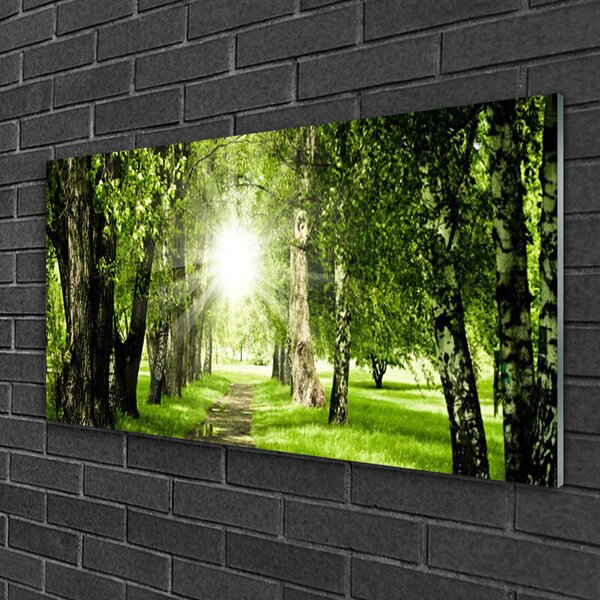 Quadro su vetro Foresta Sentiero del Sole Natura 100x50 cm 2 appendini