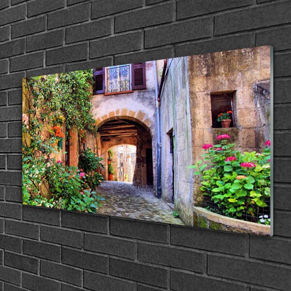 Quadro su vetro Vicolo Fiori Case Pianta 100x50 cm 2 appendini
