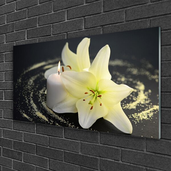 Quadro vetro Fiore Pianta naturale 100x50 cm 2 appendini
