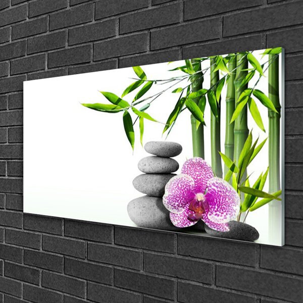 Quadro vetro Bambù Spa Arte Zen 100x50 cm 2 appendini