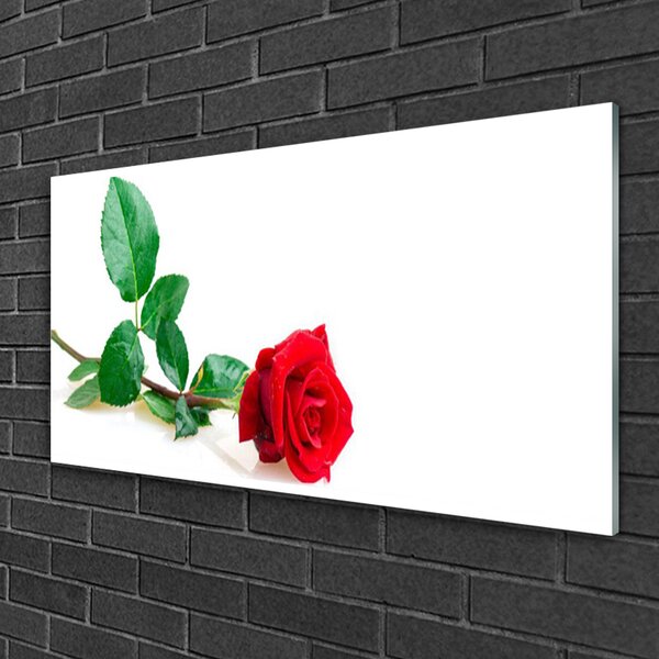 Quadro in vetro Fiore di rosa pianta naturale 100x50 cm 2 appendini