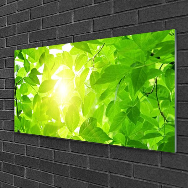 Quadro su vetro Foglie Natura Sole Pianta 100x50 cm 2 appendini