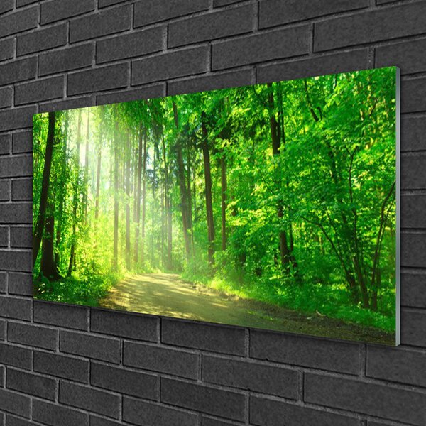 Quadro in vetro Sentiero forestale Alberi naturali 100x50 cm 2 appendini