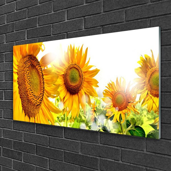 Quadro di vetro Pianta di girasole 100x50 cm 2 appendini