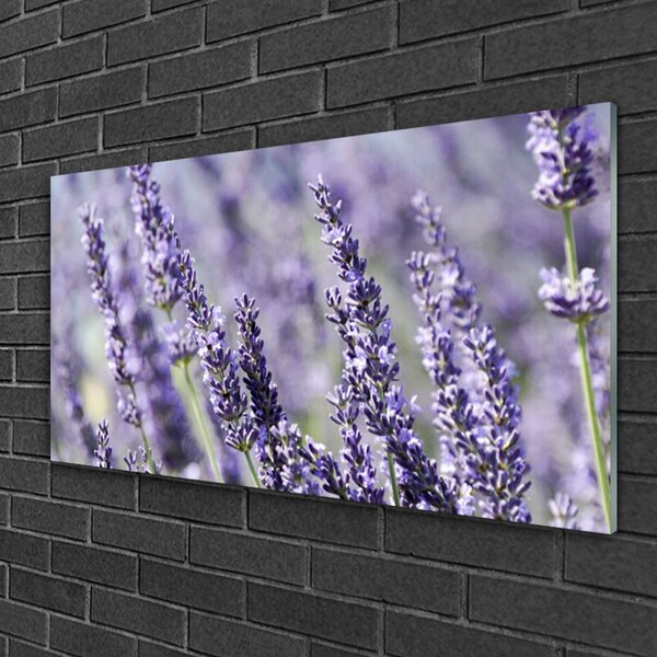 Quadro vetro Fiori Pianta Natura 100x50 cm 2 appendini