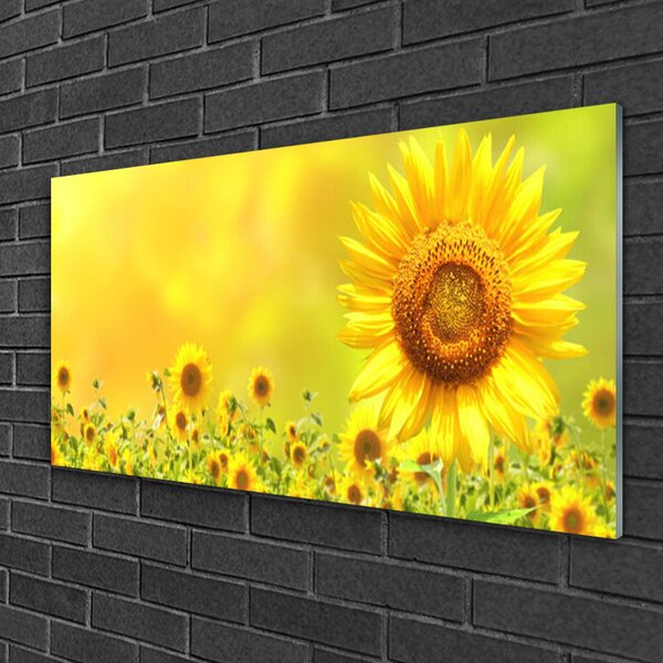 Quadro in vetro Pianta di girasole 100x50 cm 2 appendini