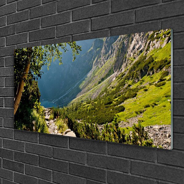 Quadro in vetro Montagna Foresta Natura 100x50 cm 2 appendini