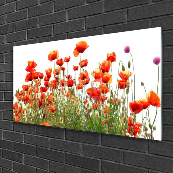 Quadro in vetro Papaveri Pianta Naturale 100x50 cm 2 appendini