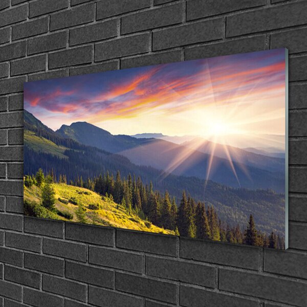 Quadro su vetro Montagna foresta sole paesaggio 100x50 cm 2 appendini
