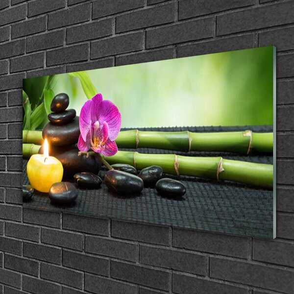 Quadro in vetro Fiore di bambù Zen Spa 100x50 cm 2 appendini
