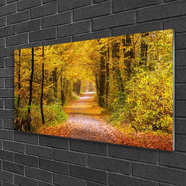 Quadro in vetro Sentiero delle piante forestali Natura 100x50 cm 2 appendini