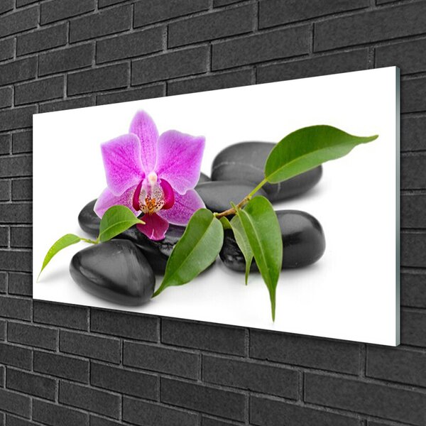 Quadro su vetro Arte delle orchidee 100x50 cm 2 appendini