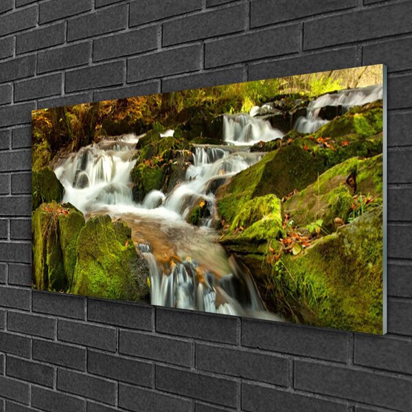 Quadro in vetro Cascata Rocce Natura 100x50 cm 2 appendini
