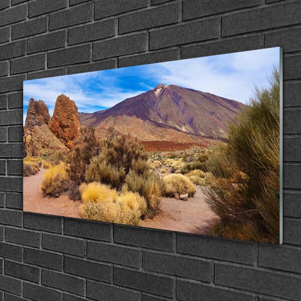 Quadro vetro Montagne Piante Rocce Paesaggio 100x50 cm 2 appendini
