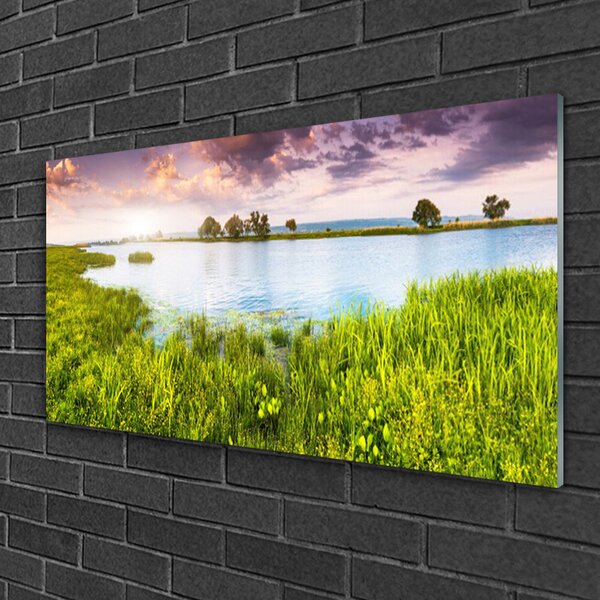 Quadro di vetro Lago d'erba Natura 100x50 cm 2 appendini