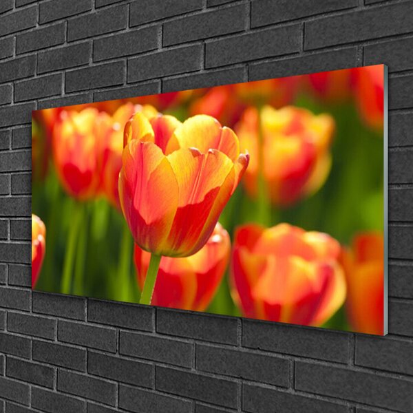 Quadro su vetro Tulipani Fiori Pianta 100x50 cm 2 appendini