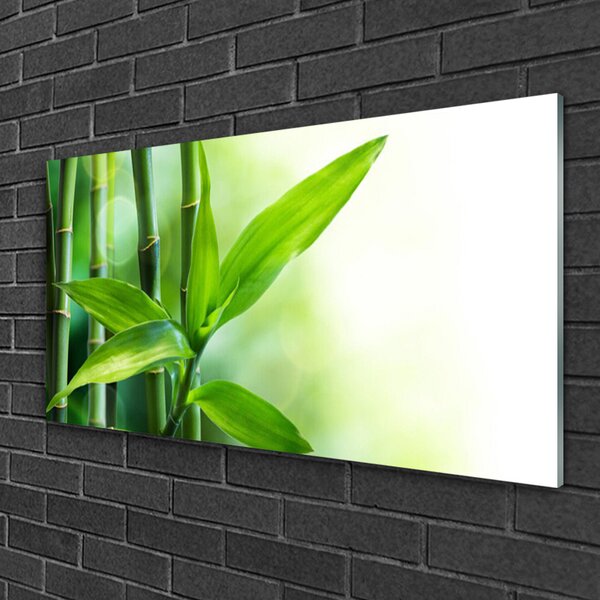Quadro vetro Pianta di foglie di bambù Natura 100x50 cm 2 appendini