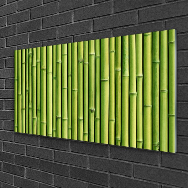 Quadro su vetro Pianta di bambù Natura 100x50 cm 2 appendini