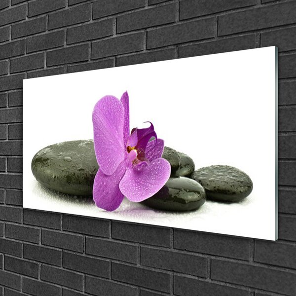 Quadro di vetro Orchidea fiorita 100x50 cm 2 appendini