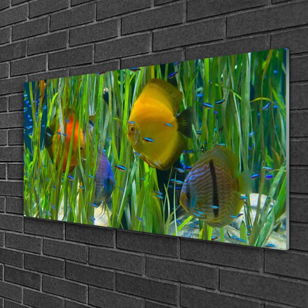 Quadro di vetro Pesce Alghe Natura 100x50 cm 2 appendini