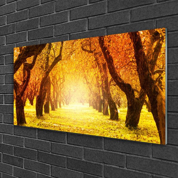 Quadro vetro Sentiero forestale Natura Alberi 100x50 cm 2 appendini