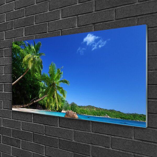Quadro di vetro Palme Spiaggia Paesaggio 100x50 cm 2 appendini