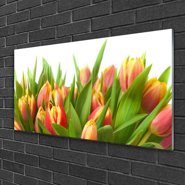 Quadro vetro Tulipani Fiori Pianta 100x50 cm 2 appendini