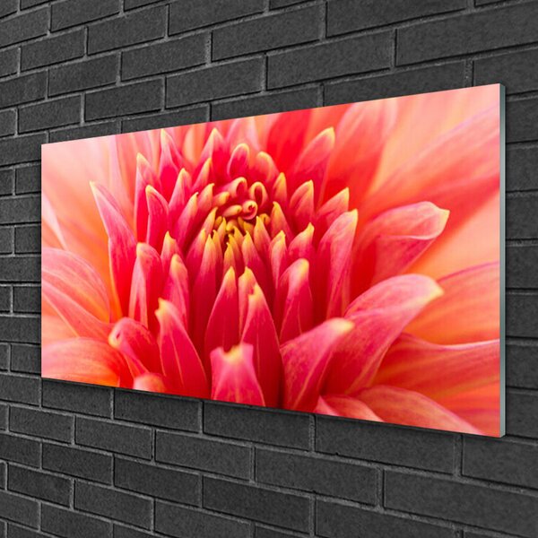 Quadro in vetro Fiore Pianta naturale 100x50 cm 2 appendini