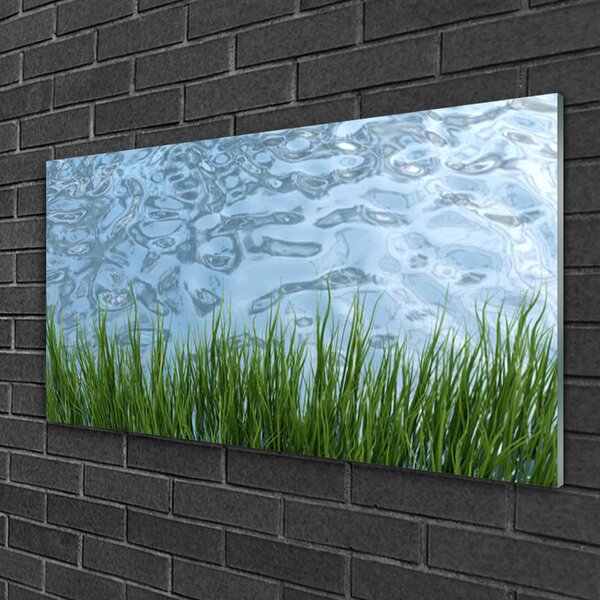 Quadro in vetro Erba Acqua Natura 100x50 cm 2 appendini