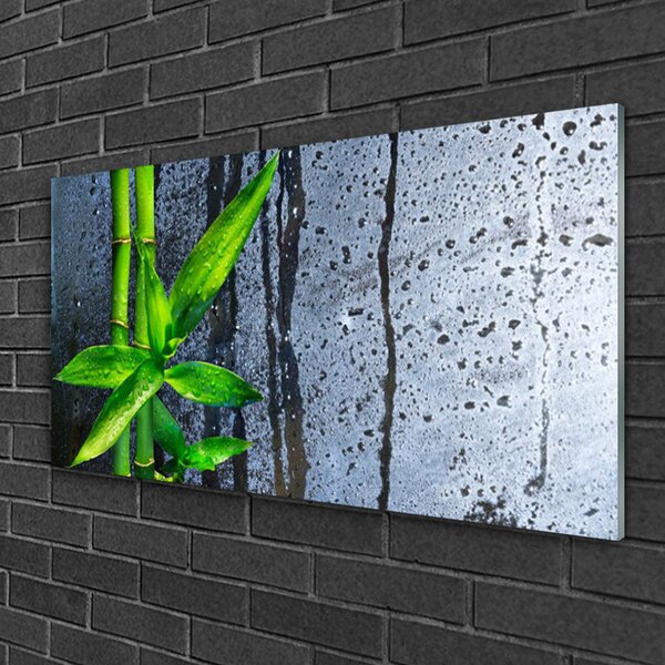 Quadro in vetro Pianta di foglie di bambù Natura 100x50 cm 2 appendini