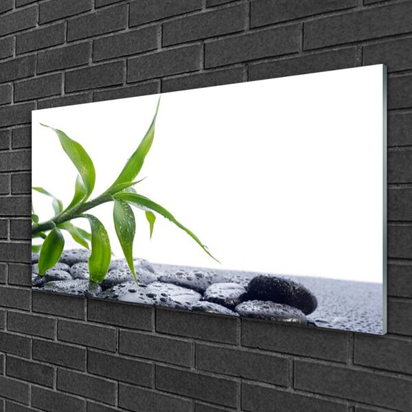 Quadro di vetro Foglia Natura Pietre Pianta 100x50 cm 2 appendini