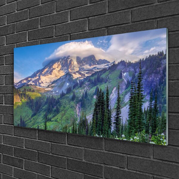 Quadro su vetro Montagna Foresta Paesaggio Natura 100x50 cm 2 appendini