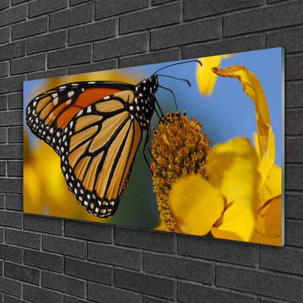 Quadro in vetro Farfalla Fiore Natura 100x50 cm 2 appendini