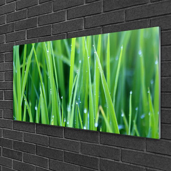 Quadro su vetro Gocce d'erba Pianta naturale 100x50 cm 2 appendini