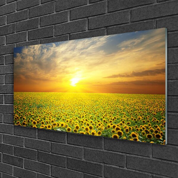 Quadro di vetro I girasoli di Sun Meadow 100x50 cm 2 appendini