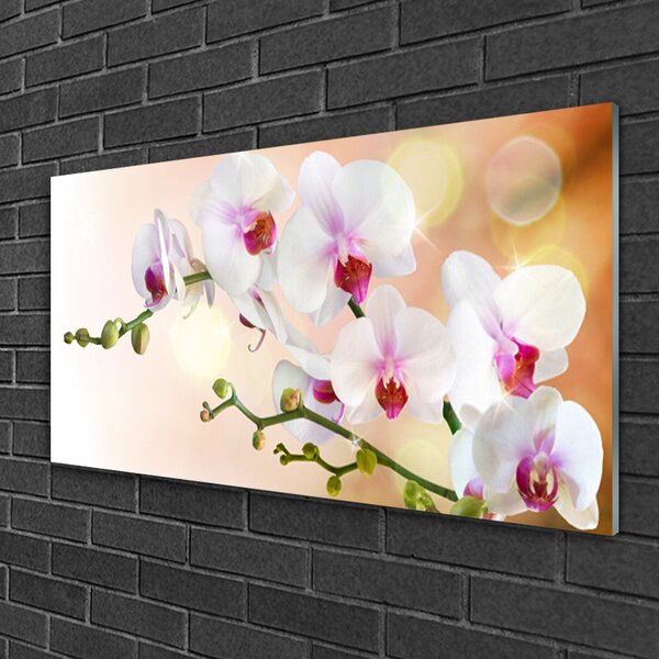 Quadro vetro Fiori Pianta naturale 100x50 cm 2 appendini