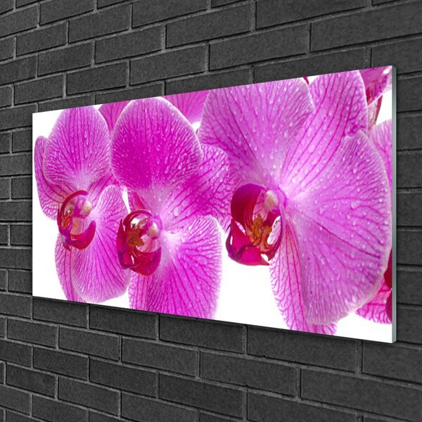 Quadro su vetro Fiori Pianta naturale 100x50 cm 2 appendini