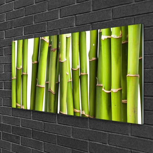 Quadro su vetro Pianta di bambù Natura 100x50 cm 2 appendini