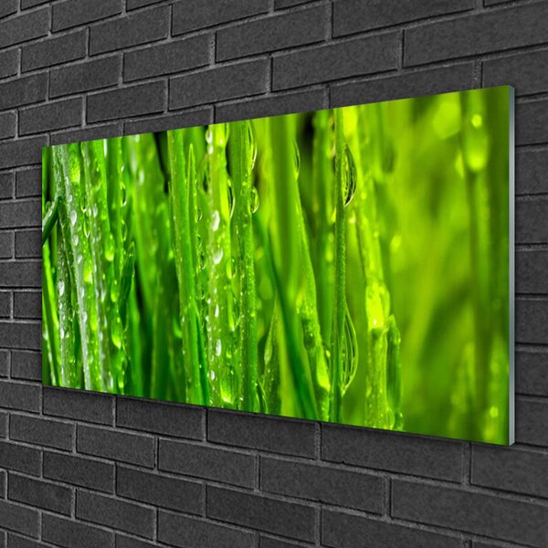 Quadro su vetro Erba Pianta Natura 100x50 cm 2 appendini