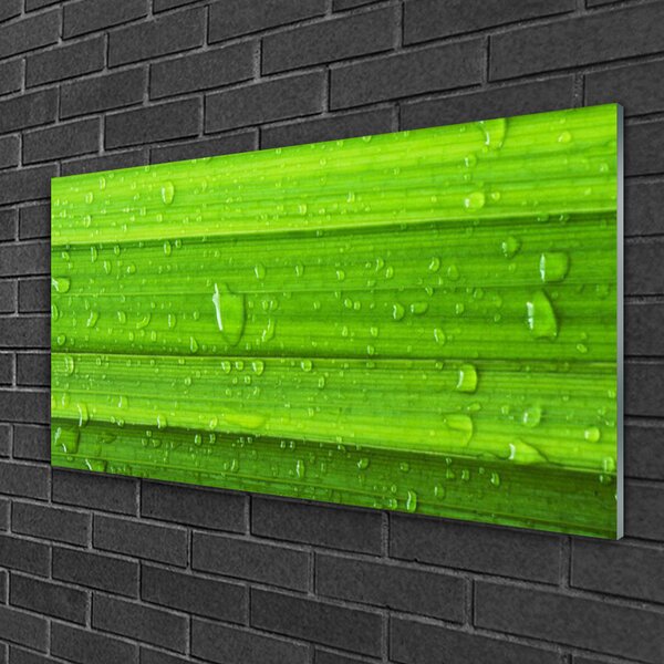 Quadro vetro Erba Pianta Natura 100x50 cm 2 appendini