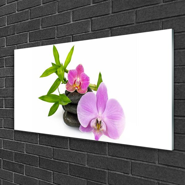 Quadro in vetro Pianta di orchidea da fiore 100x50 cm 2 appendini