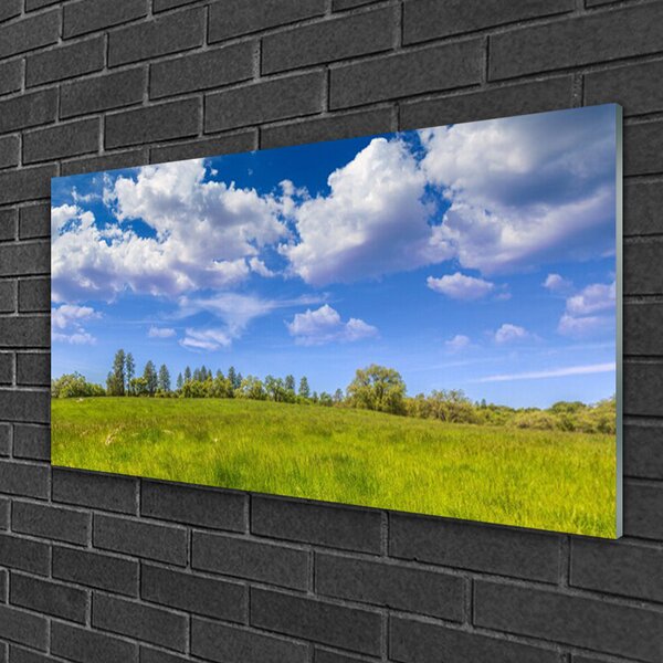 Quadro di vetro Prato Erba Cielo Paesaggio 100x50 cm 2 appendini